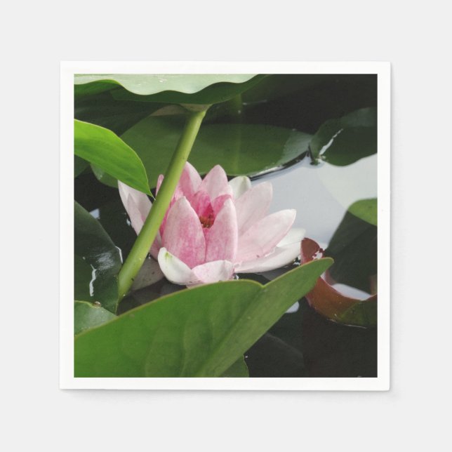 Beautiful Lotus Blume Cocktail Napkin Serviette (Vorderseite)