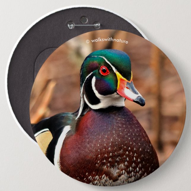 Beautiful Male Wood Duck in the Woods Button (Vorne & Hinten)