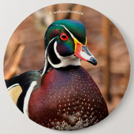 Beautiful Male Wood Duck in the Woods Button