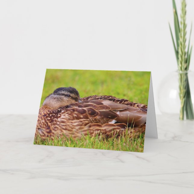 Beautiful Mallard Duck wird gut Karte (Vorderseite)