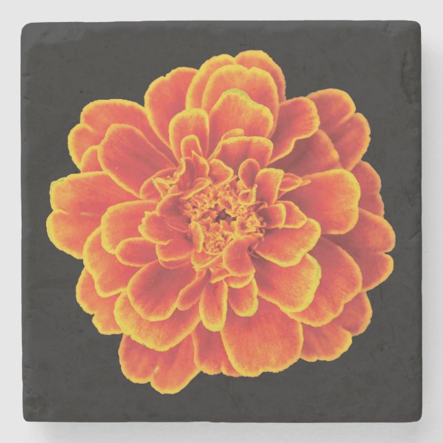 Beautiful Marigold Stone Untersetzer (Vorderseite)
