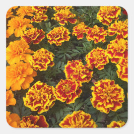 Beautiful Marigolds Sticker Set