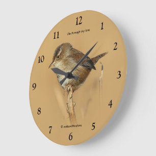 Beautiful Marsh Wren Songbird am Zweig Große Wanduhr