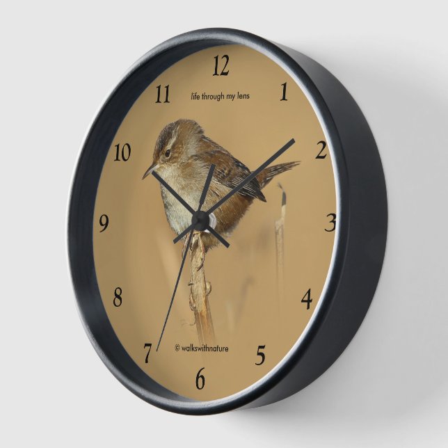 Beautiful Marsh Wren Songbird am Zweig Wanduhr (Winkel)