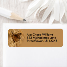 Beautiful Marsh Wren Songbird in Marsh Reeds