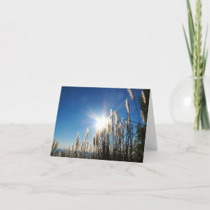 Beautiful Morning Grass Notecard Karte