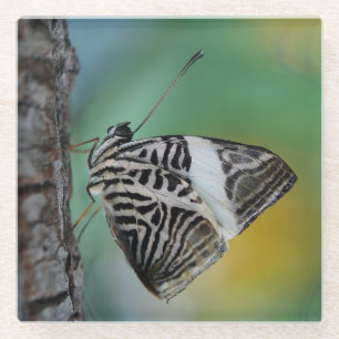 Beautiful Mosaic Zebra Butterfly Glasuntersetzer