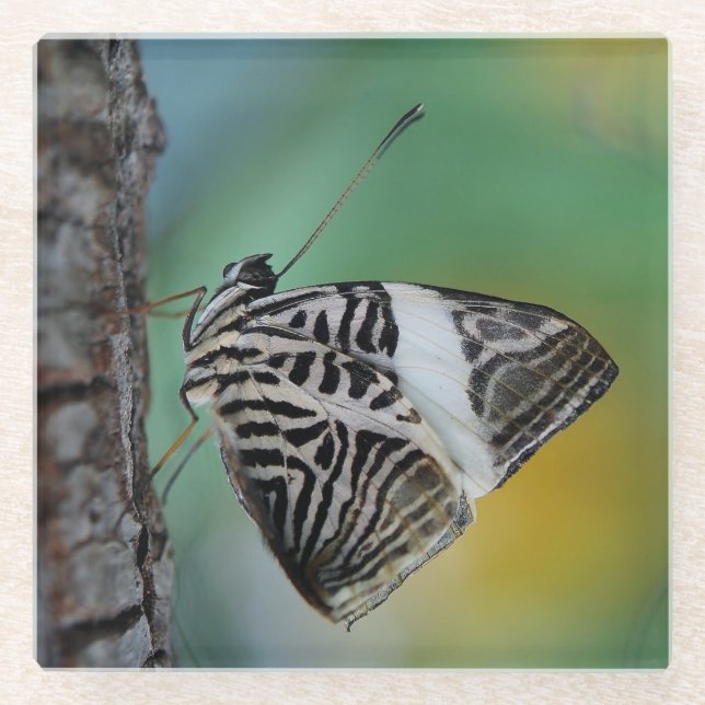 Beautiful Mosaic Zebra Butterfly Glasuntersetzer (Vorderseite)