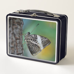 Beautiful Mosaic Zebra Butterfly Metall Brotdose