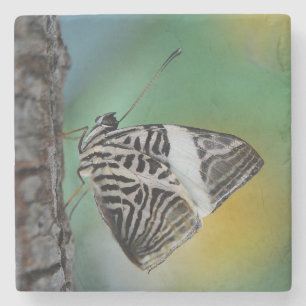 Beautiful Mosaic Zebra Butterfly Steinuntersetzer