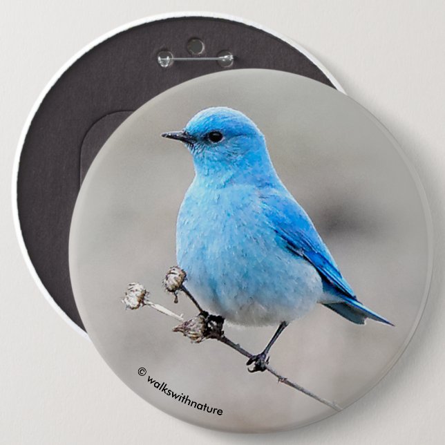 Beautiful Mountain Bluebird Button (Vorne & Hinten)