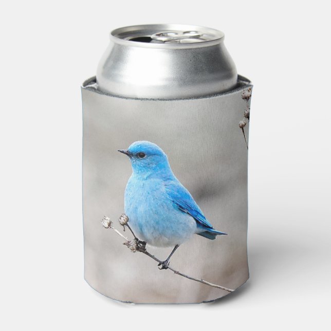 Beautiful Mountain Bluebird Dosenkühler (Kanne Vorderseite)