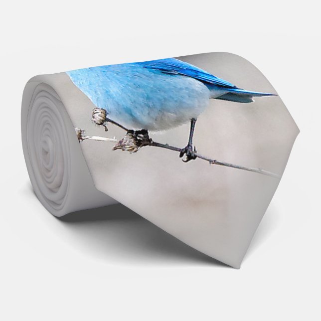Beautiful Mountain Bluebird Krawatte (Gerollt)