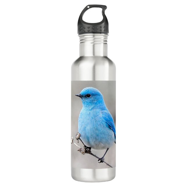 Beautiful Mountain Bluebird on Tansy Edelstahlflasche (Vorderseite)
