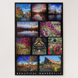 Beautiful Naperville - 10 Szenen rund um die Stadt