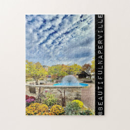 Beautiful Naperville - Cloudy Dandelion Fountain