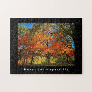 Beautiful Naperville - Herbstblätter