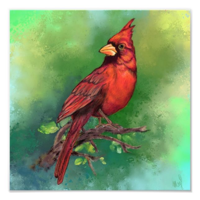 Beautiful Northern Red Kardinal Bird Foto Print (Vorne)