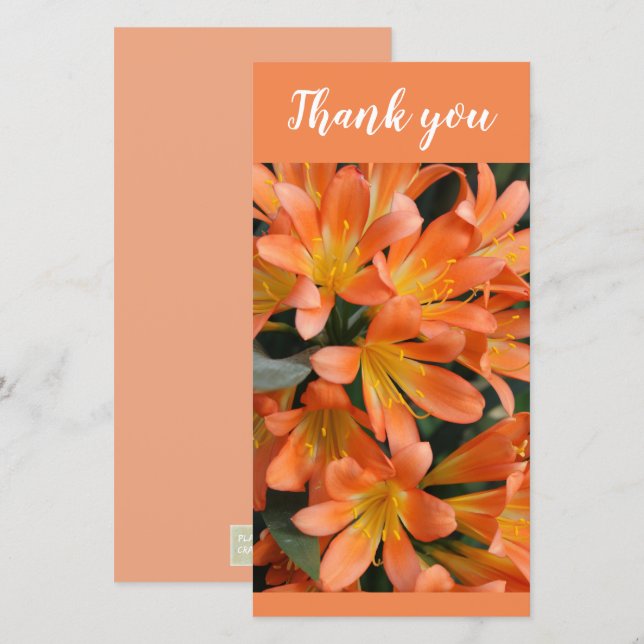Beautiful Orange Kaffir Lily Blume Dankeskarte (Vorne/Hinten)