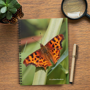 Beautiful Orange Satyr Comma Butterfly Notizblock