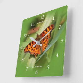 Beautiful Orange Satyr Comma Butterfly Quadratische Wanduhr