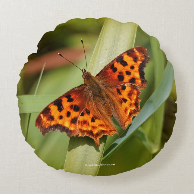 Beautiful Orange Satyr Comma Butterfly Rundes Kissen (Vorderseite)