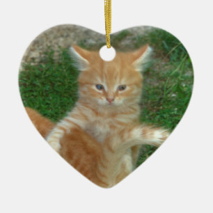 Beautiful Orange Tabby Kitten Keramikornament