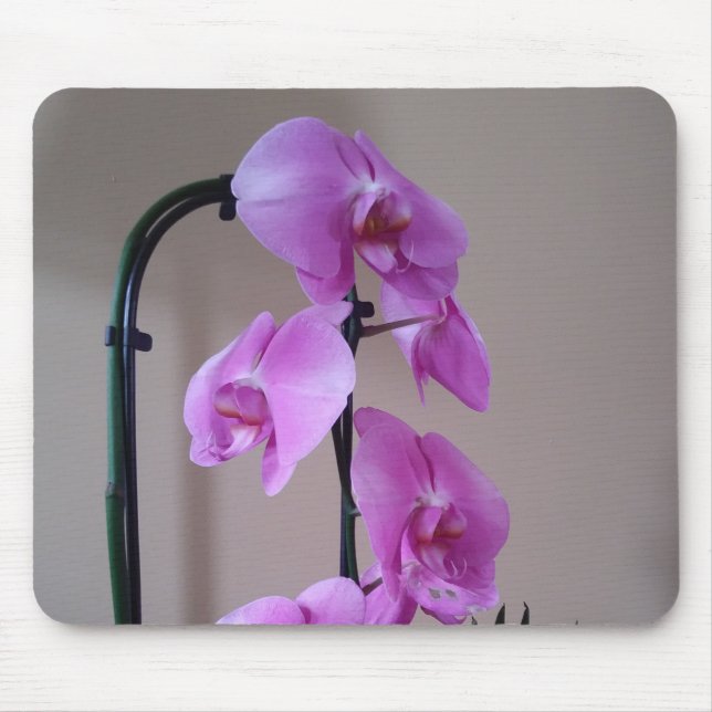 Beautiful Orchid Mouse Mat Mousepad (Vorne)