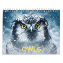Beautiful Owls Elegante Mauer