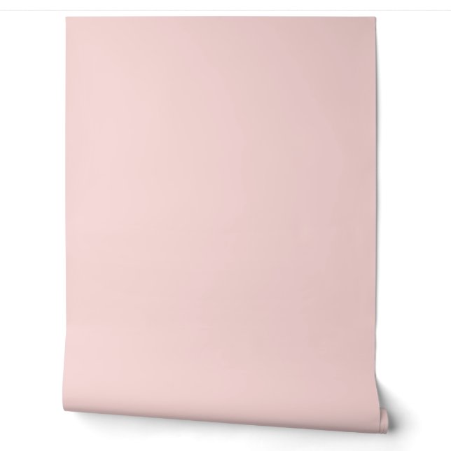 beautiful peach solid color  tapete (Abrollen)