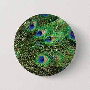 Beautiful Peacock Button