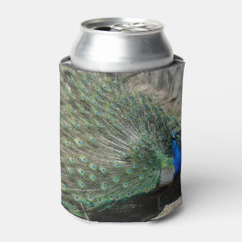 Beautiful Peacock Dosenkühler
