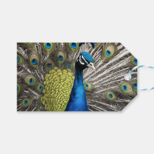 Beautiful Peacock Geschenkanhänger