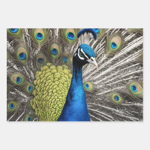 Beautiful Peacock Geschenkpapier Set