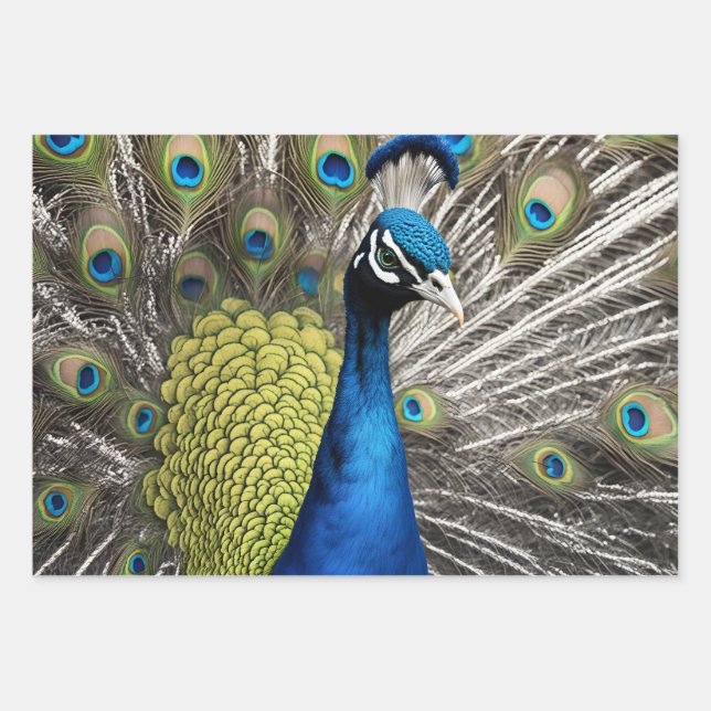 Beautiful Peacock Geschenkpapier Set (Vorderseite)