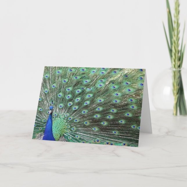 Beautiful Peacock Just Sprichwort Hello Card Karte (Vorderseite)