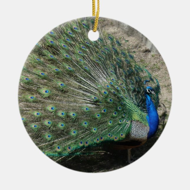 Beautiful Peacock Keramikornament (Vorne)