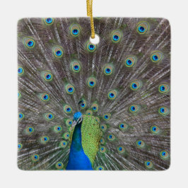 Beautiful Peacock Keramikornament