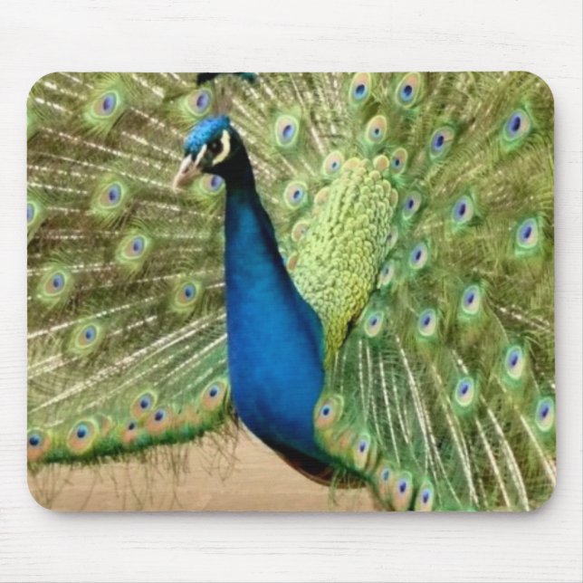Beautiful Peacock Mousepad (Vorne)