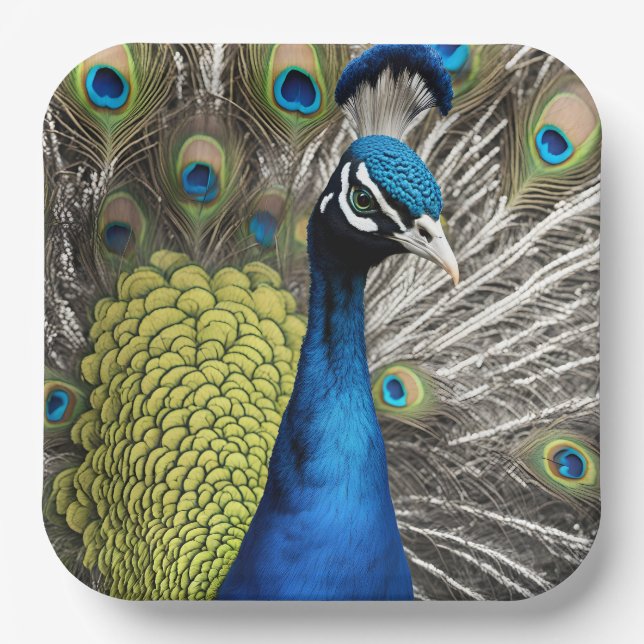 Beautiful Peacock Pappteller (Vorderseite)