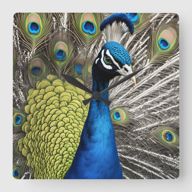 Beautiful Peacock Quadratische Wanduhr (Vorderseite)