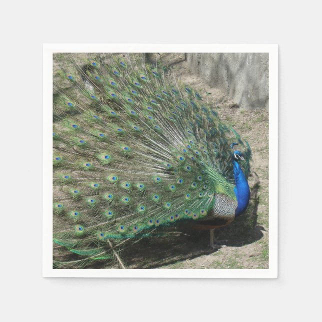 Beautiful Peacock Serviette (Vorderseite)