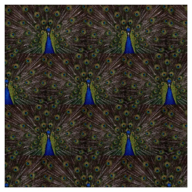 Beautiful Peacock Stoff (Muster)
