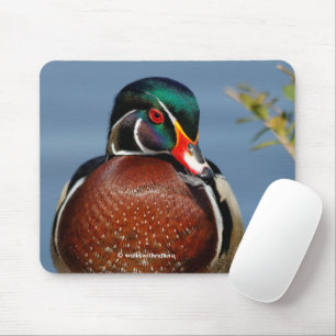 Beautiful Pensive Wood Duck in the Marsh Mousepad