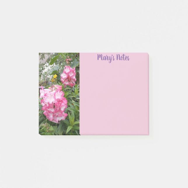 Beautiful Penstemon Pink Blume Foto Post-it Klebezettel (Vorderseite)