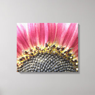 Beautiful Pink Sonnenblume Canvas Print Leinwanddruck