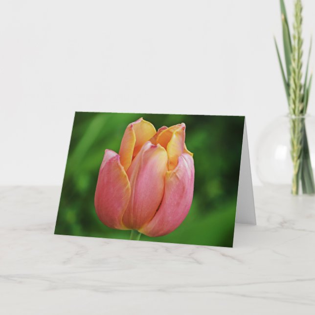 Beautiful Pink Tulip Art Note Card Karte (Vorderseite)