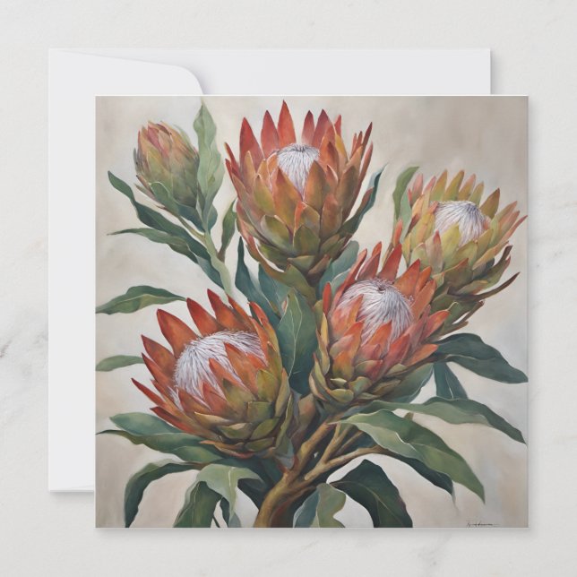 Beautiful Protea Blume aus Südafrika (Vorderseite)