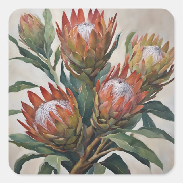 Beautiful Protea Blume aus Südafrika Quadratischer Aufkleber (Vorderseite)