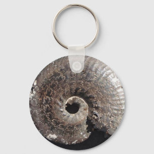 Beautiful pyrite ammonite fossil showing sutures schlüsselanhänger